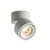 Adjustable LED Downlight 25W for Accent and Ambient Lighting