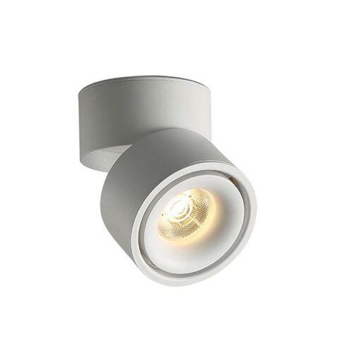 Adjustable LED Downlight 25W for Accent and Ambient Lighting