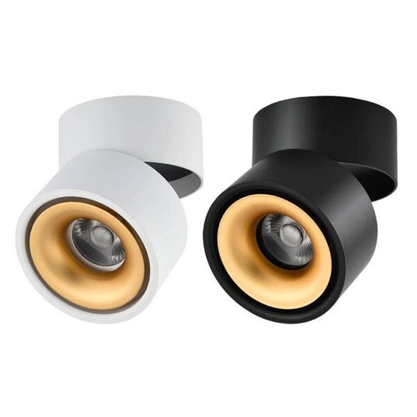 Adjustable LED Downlight 25W for Accent and Ambient Lighting