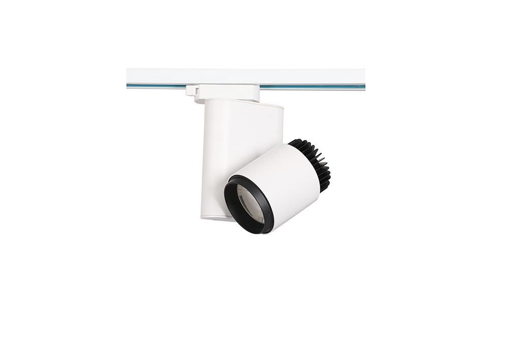 Evergrande Real Estate 3